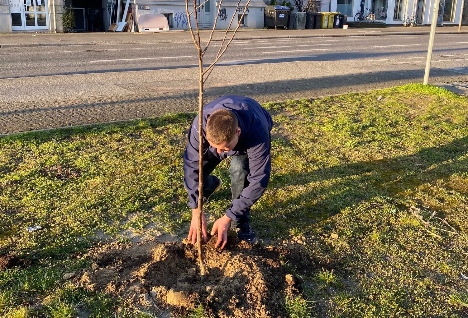 Since 2018 regular individual tree planting