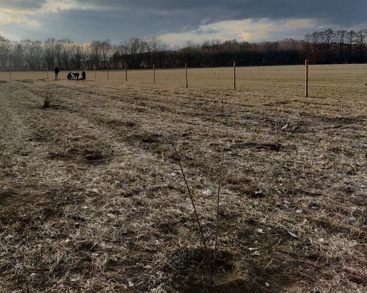 March 2022: Support for Schöner Land e.V. in the establishment of a climate protection grove