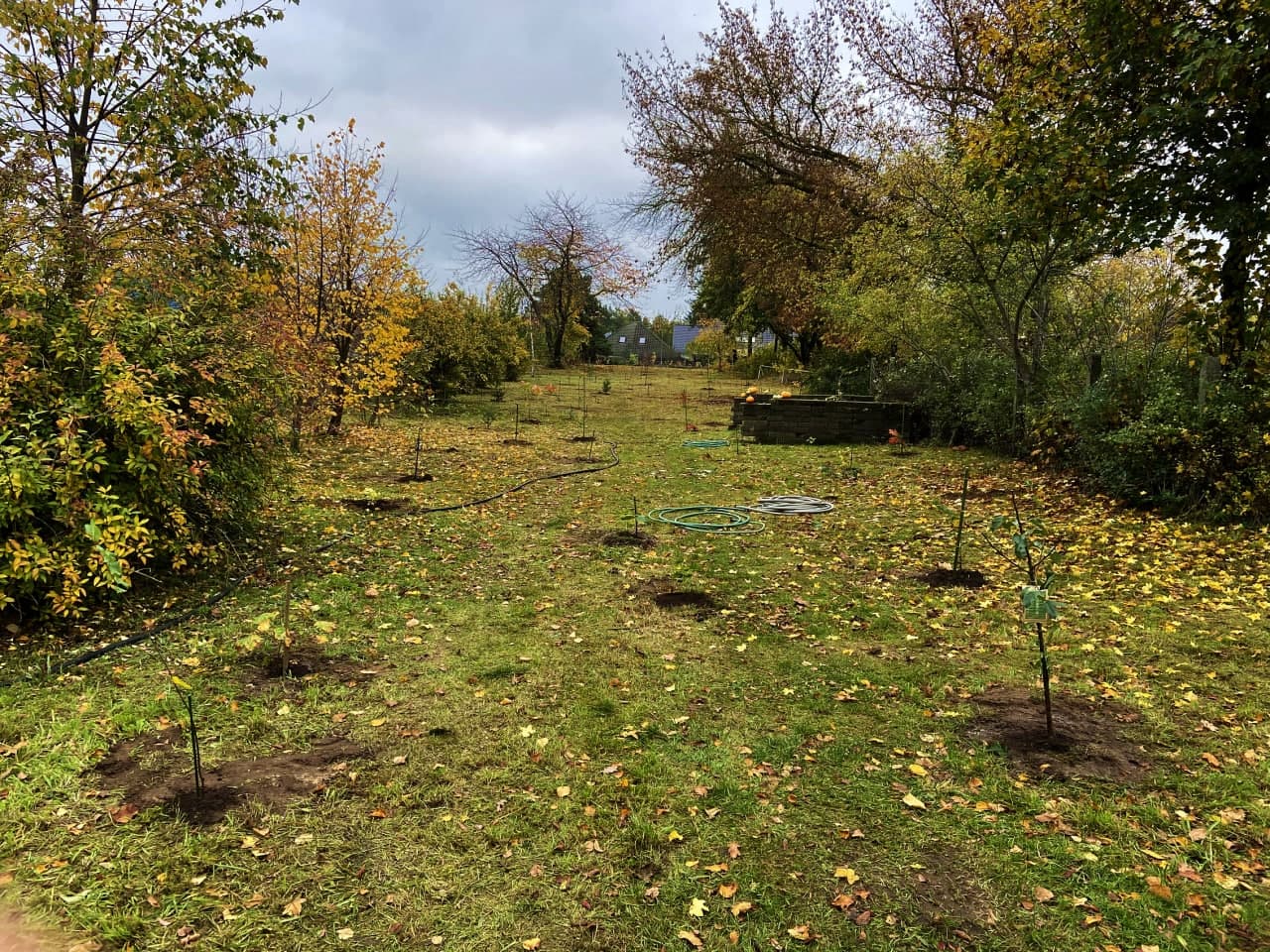 Oktober 2020: Anlage eines Mischwäldchens in Wollin