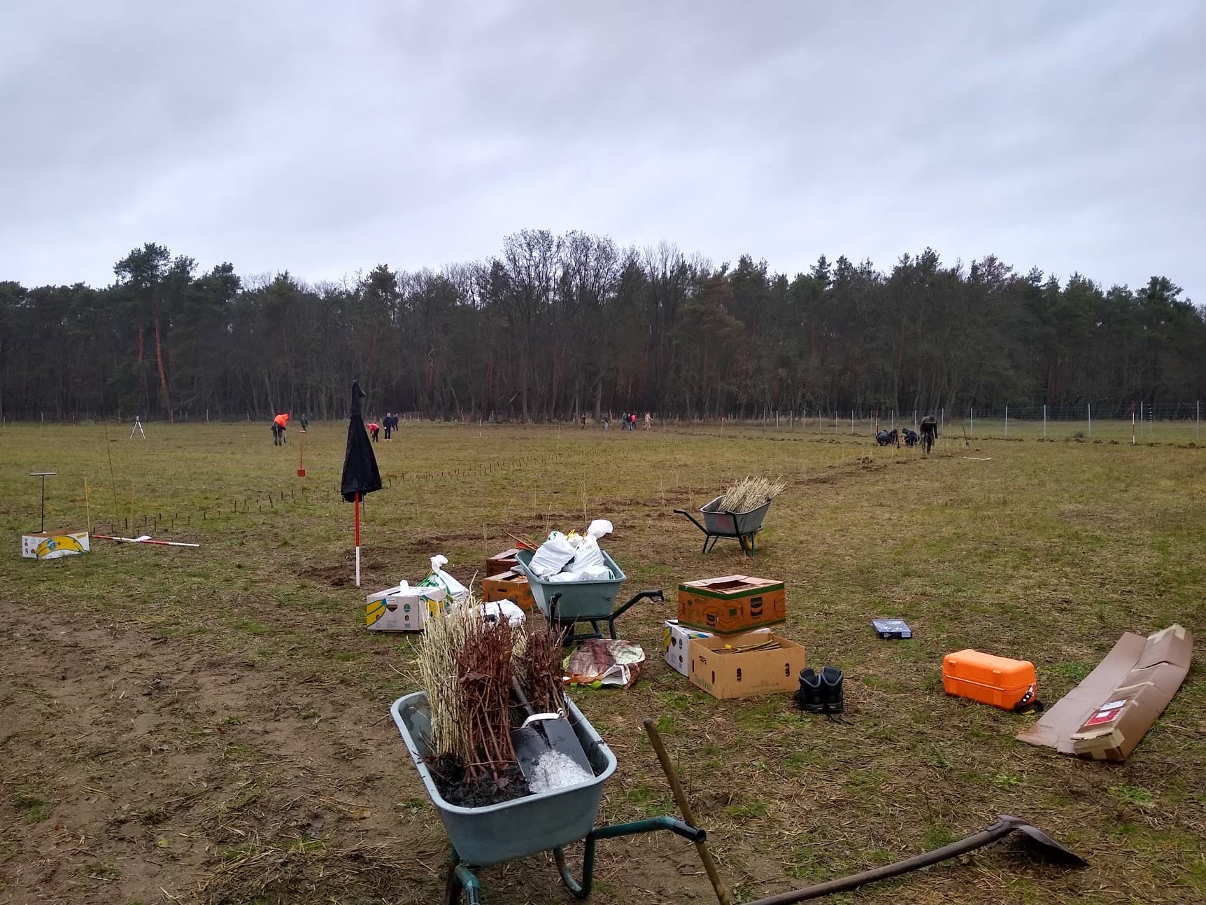 Participation in reforestation action of the association 'Land und Mehr Projekt-Initiative' in Gömnigk on December 14, 2019.