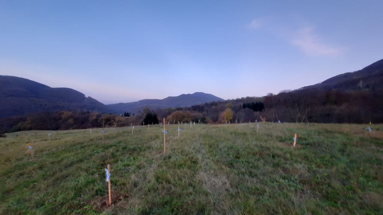 October 2022: Creation of a permaculture park in Bosnia