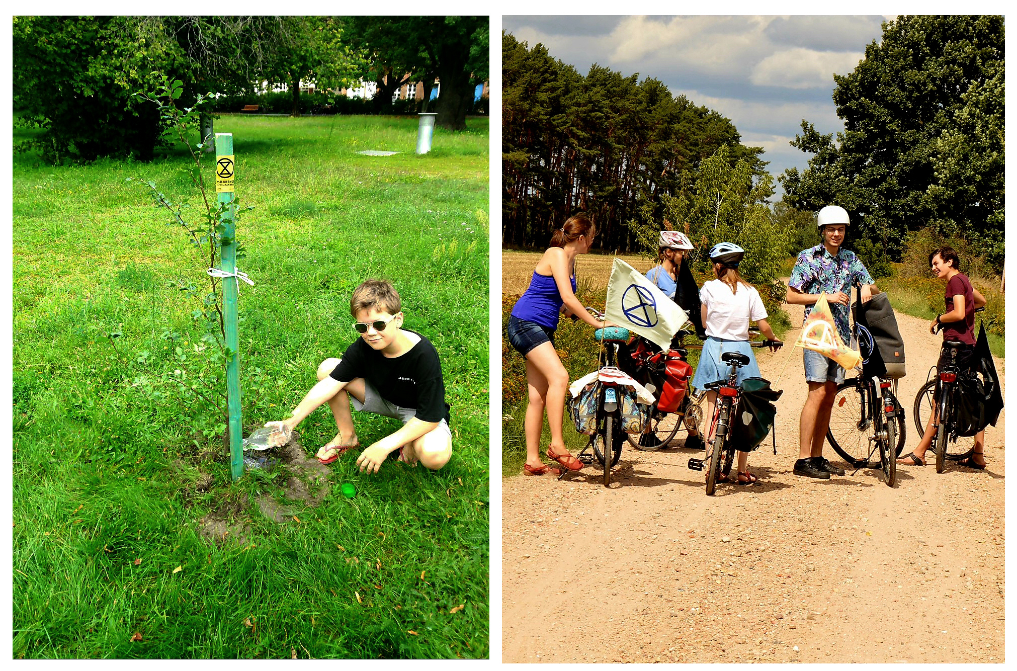 /images/radtour/potsdam-baum.jpg